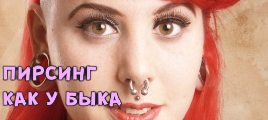 Пирсинг как у быка